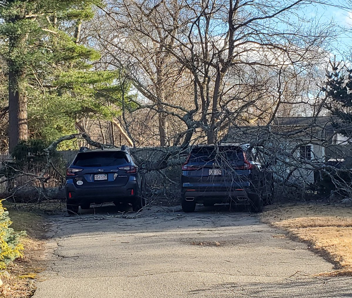 wilco 🌐 tweet media