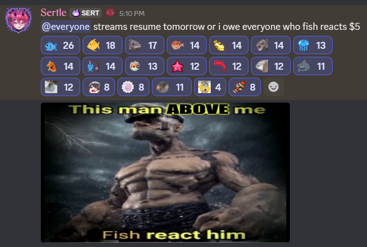 Sertle ✹《urchin》 tweet media