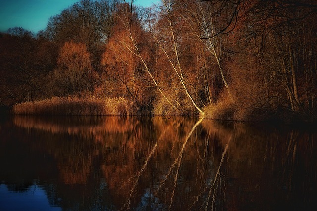 Michael Matias tweet media