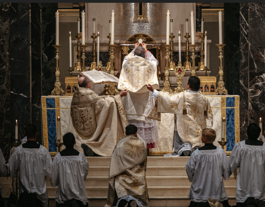 Dr Taylor Marshall™️ tweet media