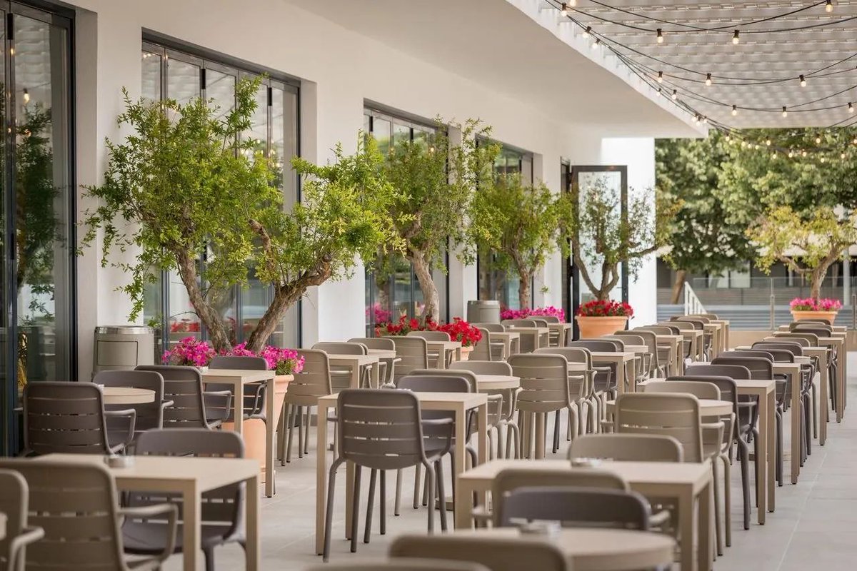 DutchFlyGuys tweet media