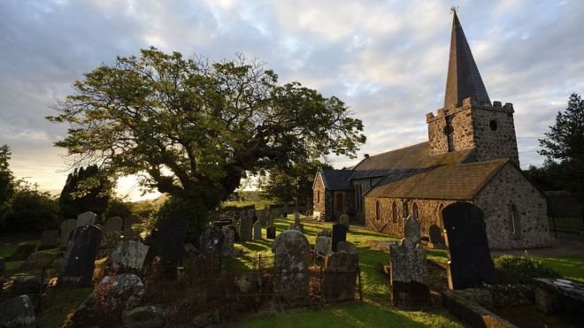 Los Árboles Mágicos ®️, (by Oscar Gaitan) tweet media