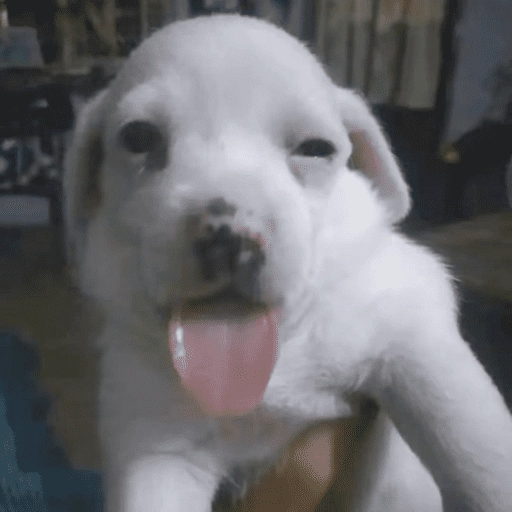 Cranky Fish tweet media