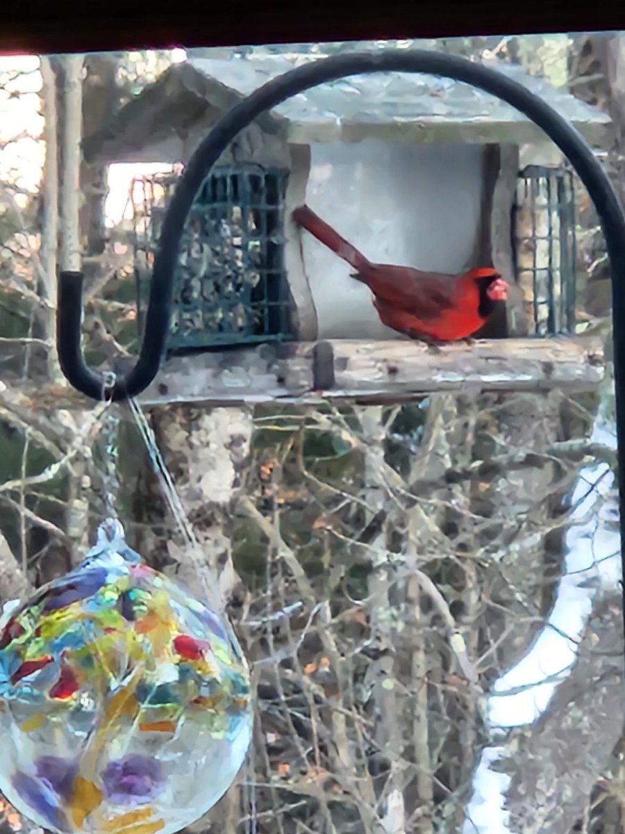 wld hare24 tweet media