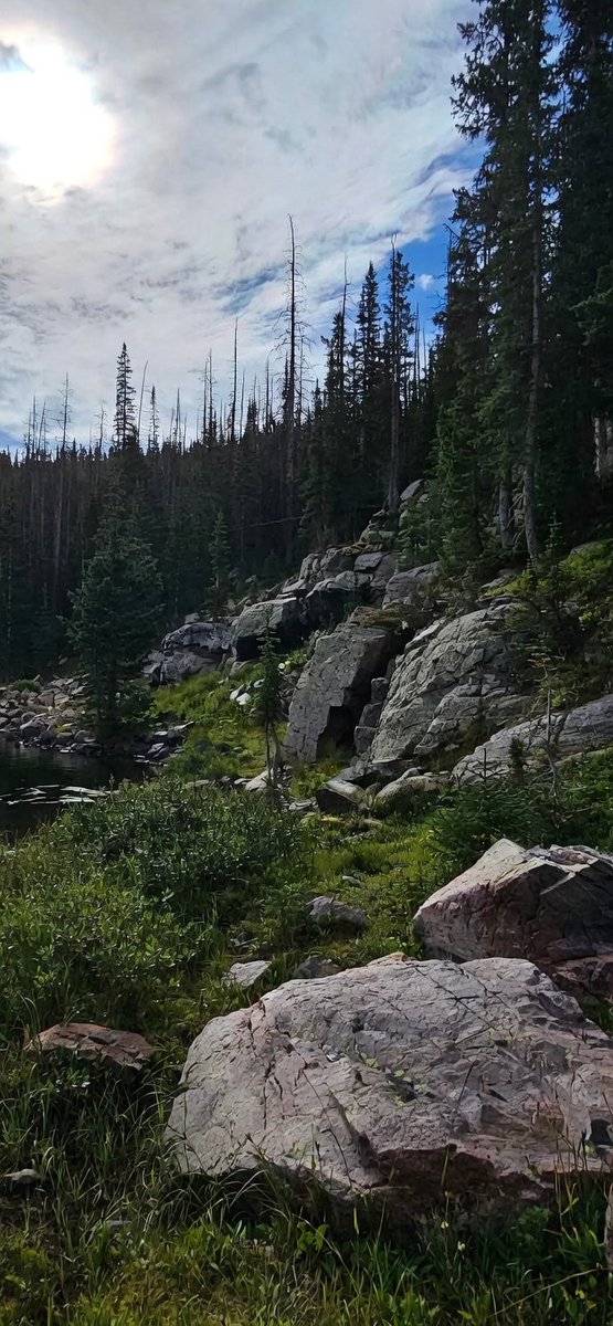 OffRoadCampingBoys tweet media