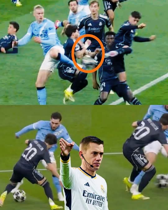 CHIMAOBI 🐅 tweet media