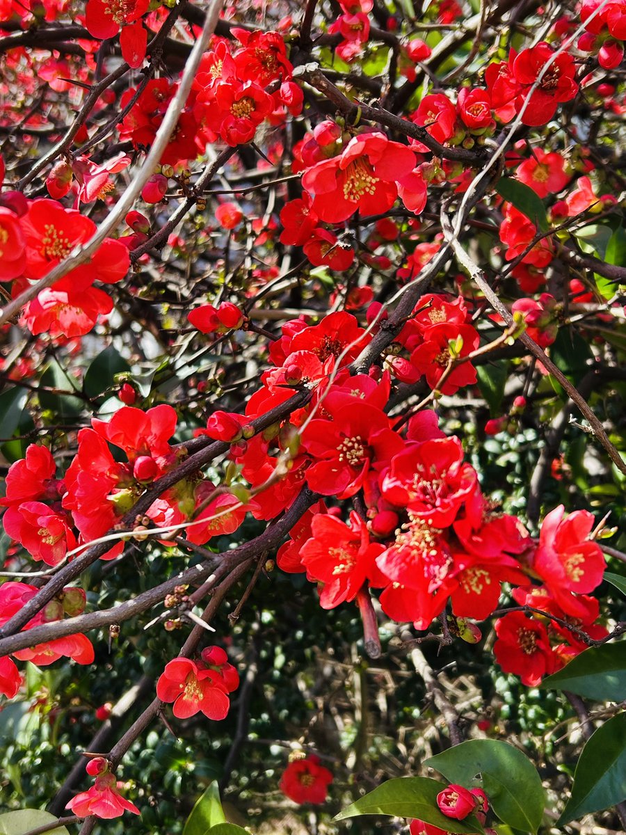 .
誰も気づかない
　時の世界で

ふたりだけの
　花を咲かせたい

そっと．．ᰔᩚ

✩⡱水曜日．．．。yuria..𖧧*
＃Love感謝しかないです
＃TLを楽しいでいっぱいに