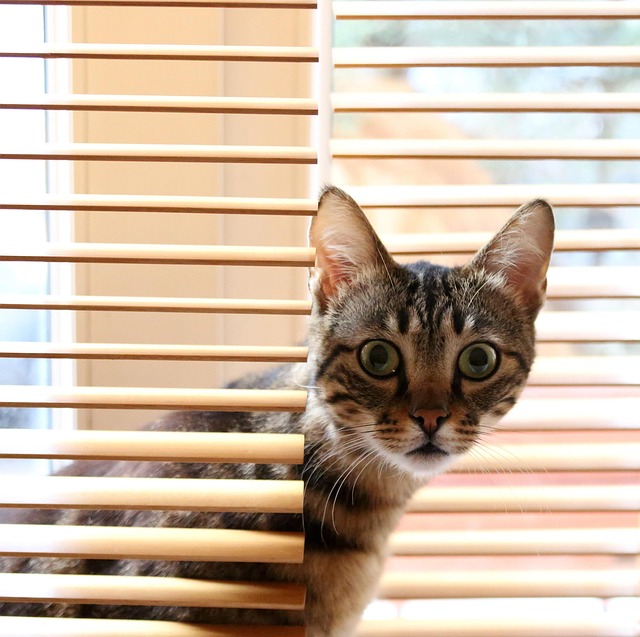 여수 윤미 tweet media