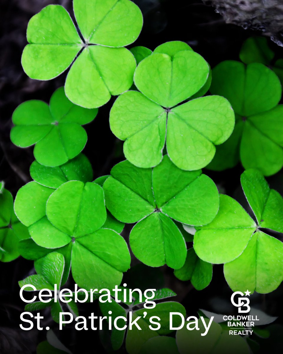 imuragentkathy's tweet image. You don't need the luck of the Irish to get a great deal—you just need the right agent. I'll help you get the most 'green' from your home sale. Happy St. Patrick's Day! ☘

818.949.5205
kathy@imuragent.com
CalRE #00947297

#StPatricksDay #LuckOfTheIrish #ImUrAgent