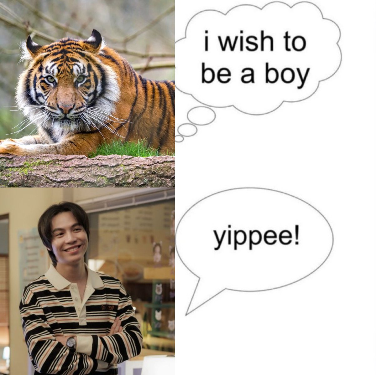 dreams do come true

#CatForCashEP9