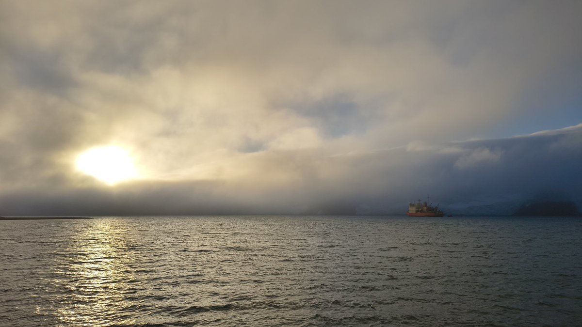 Qué Chabón tweet media