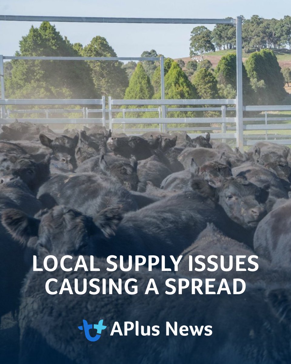 AuctionsPlus tweet media