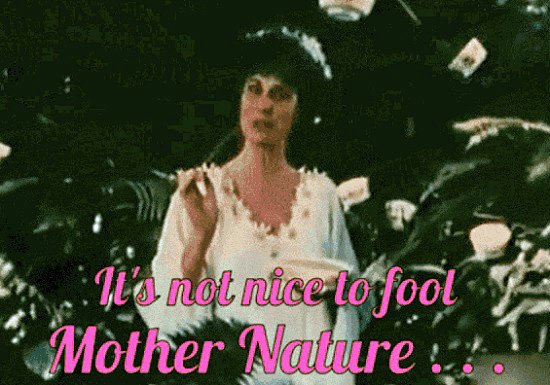 ThinkBlueLA tweet media