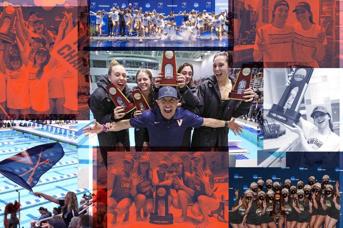 Virginia Swimming and Dive tweet media