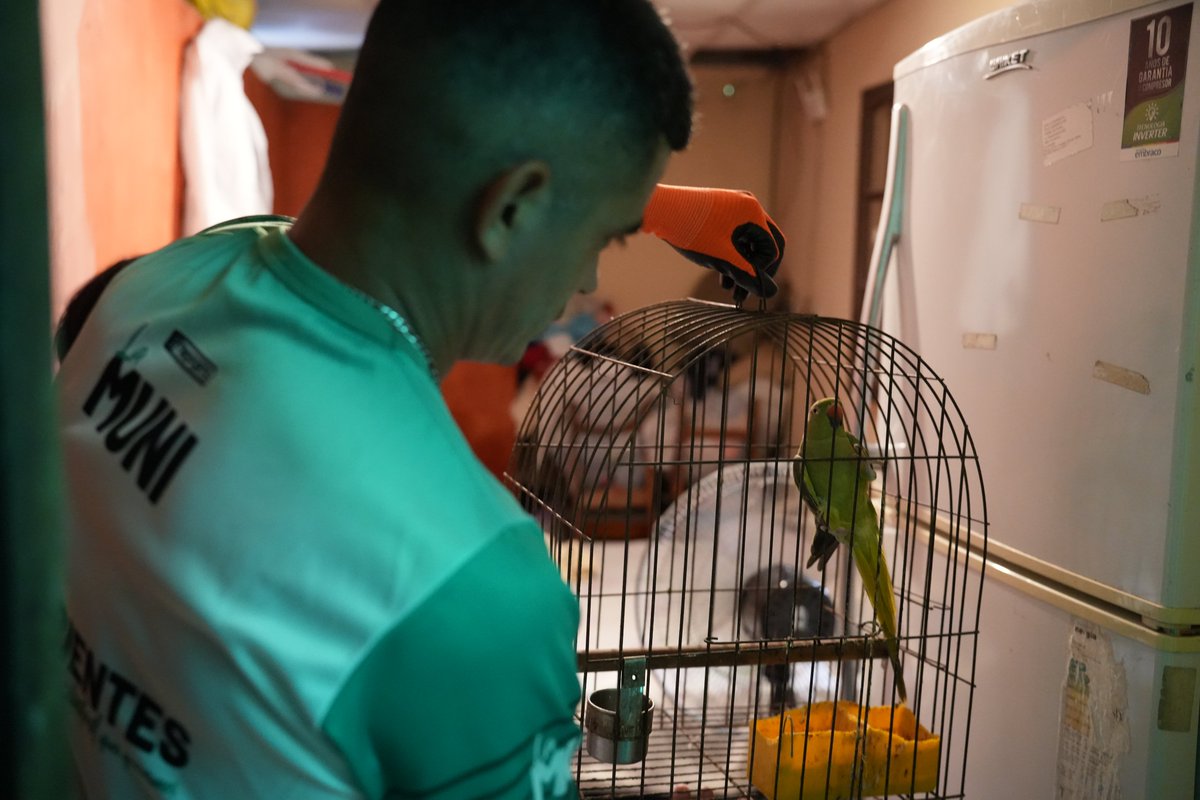 municorrientes's tweet photo. Rescatamos 24 aves exóticas y dos perros víctimas de maltrato en barrio Santa María 🐕🐦 Tras la denuncia recibida al #MuniBot y una vez constatado el caso, intervenimos junto a la Policía y Recursos Naturales en el retiro de los animales para su rehabilitación en Centro Aguará. https://t.co/TE6c2B7OTB