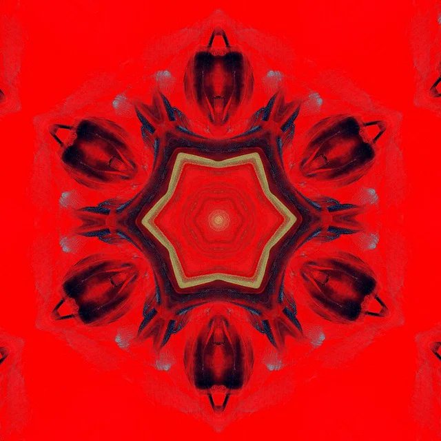 Bob Koeck tweet media