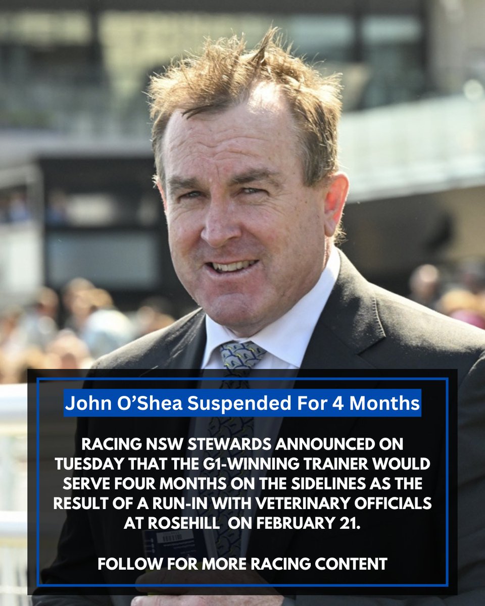 The Sporting Base - Horse Racing tweet media