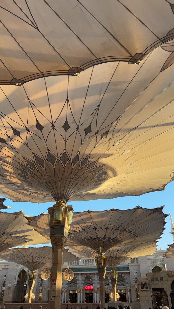 احمد المحمدي tweet media