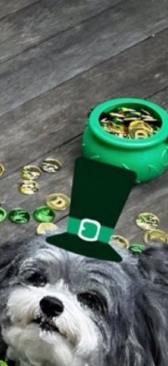 HapperDay™️ tweet media