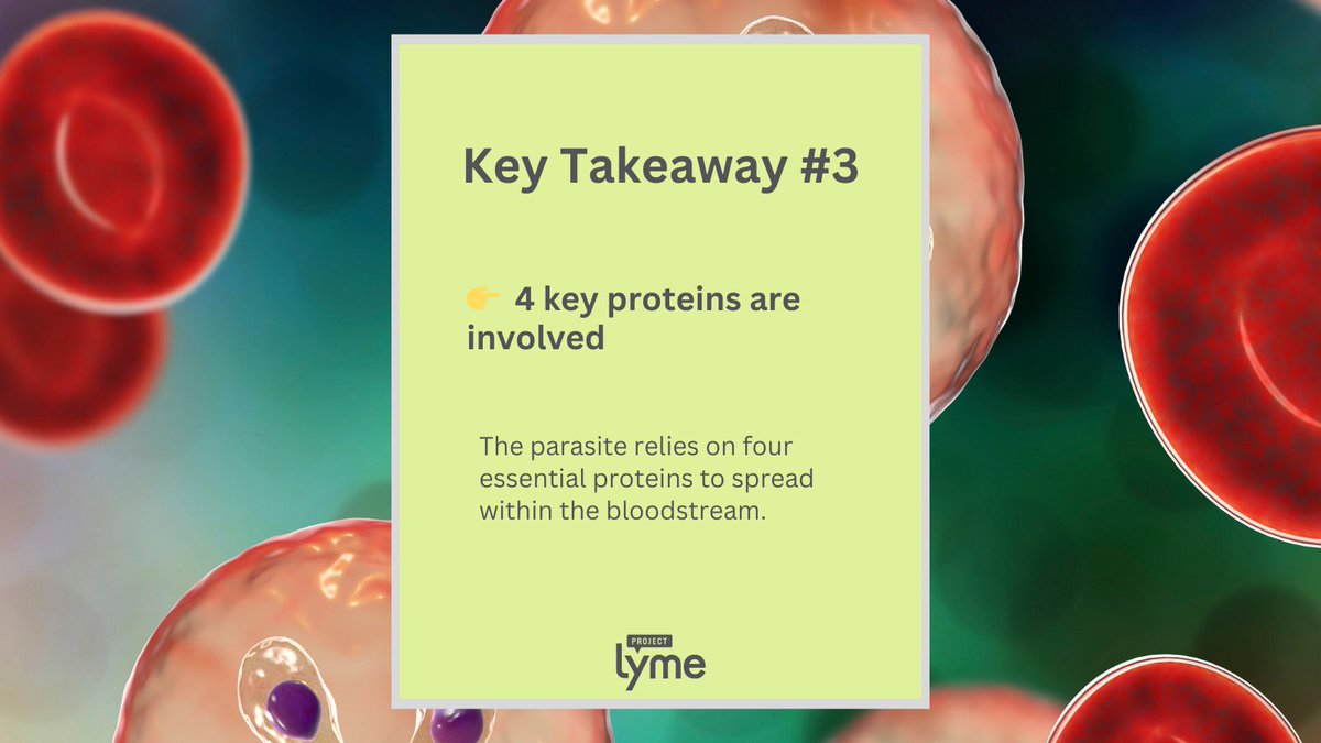 Project Lyme tweet media