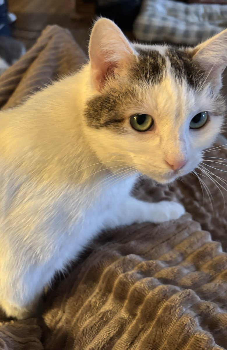 @mammaslay tweet media