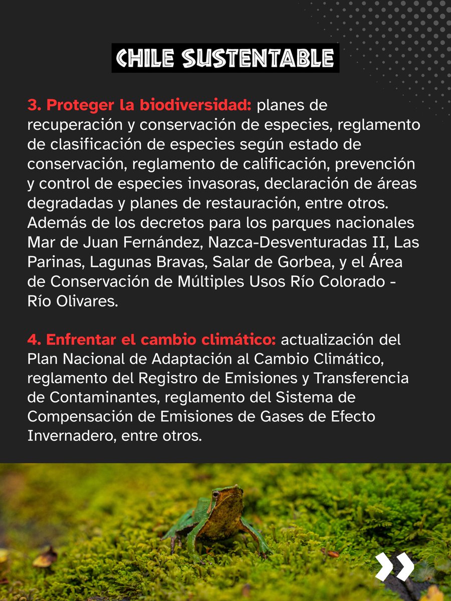 ONG Chile Sustentable 🌎 tweet media