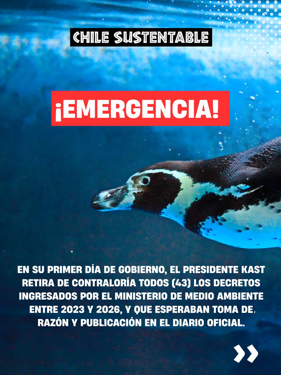 ONG Chile Sustentable 🌎 tweet media