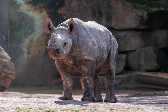 Amber Allen tweet media