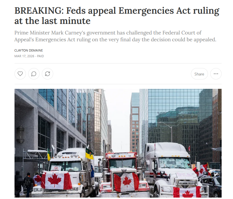 Cosmin Dzsurdzsa tweet media