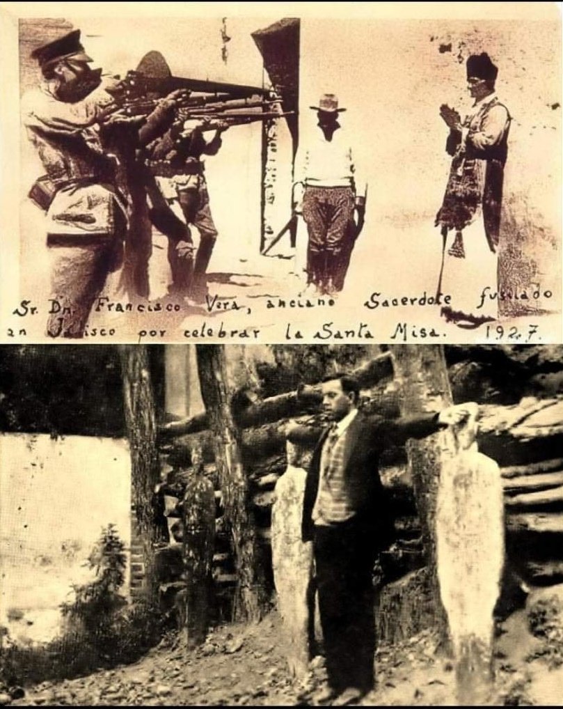 Libez Wolf 🐺 tweet media