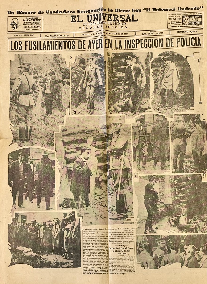 Libez Wolf 🐺 tweet media