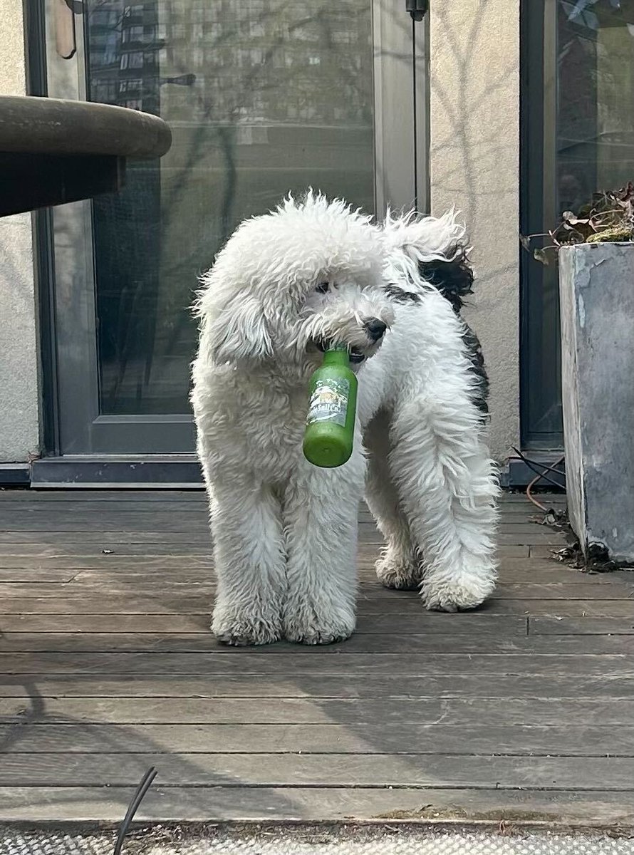 Lewis Black tweet media