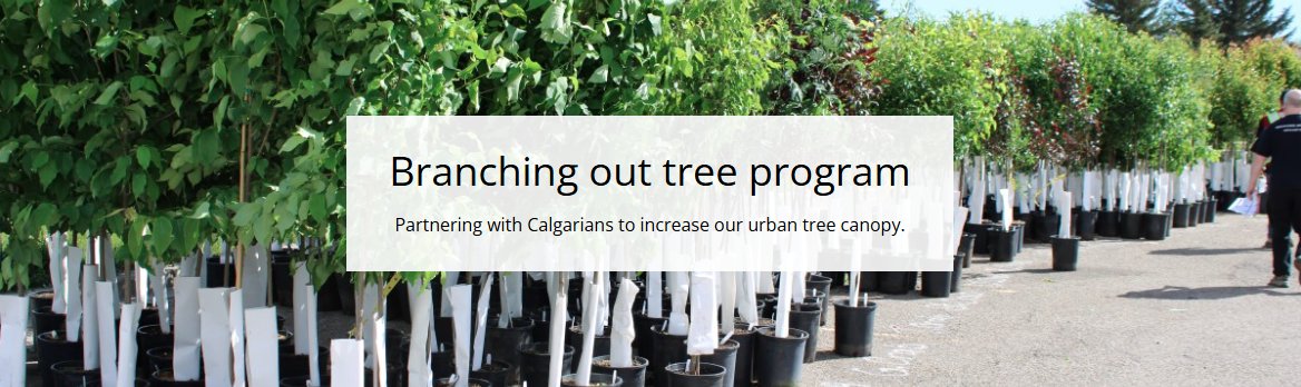 John Pantazopoulos tweet media