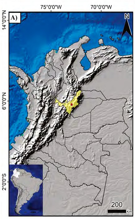 Ancient Hypotheses tweet media