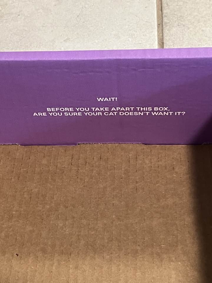 AmericaReal tweet media