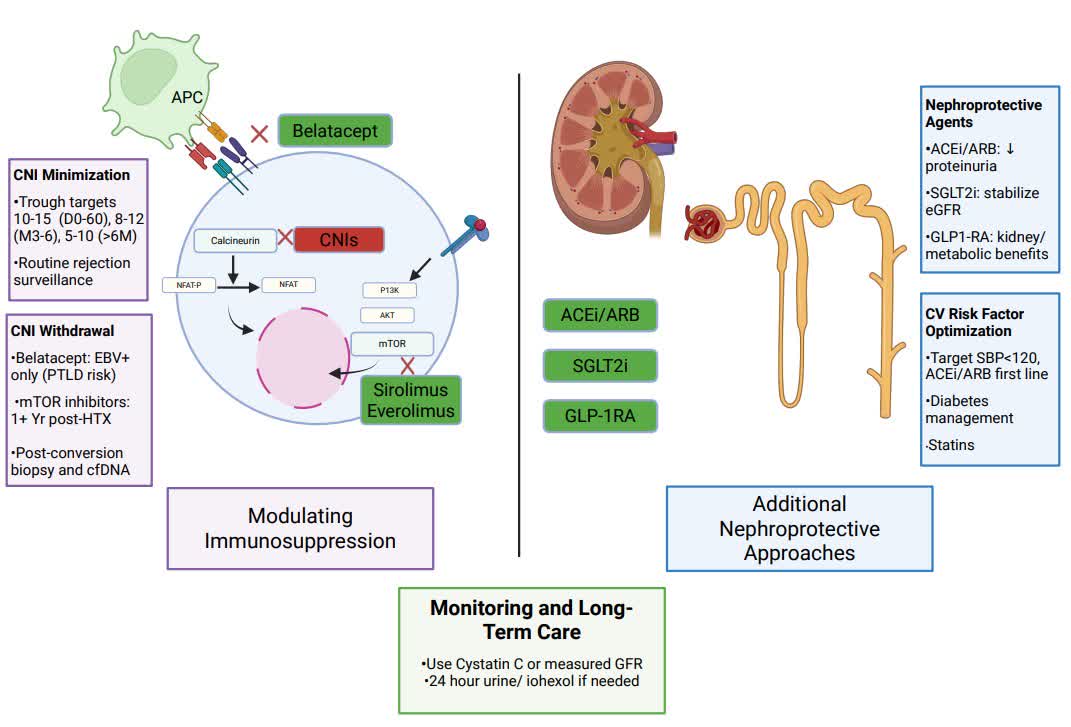 Circ: Heart Failure tweet media