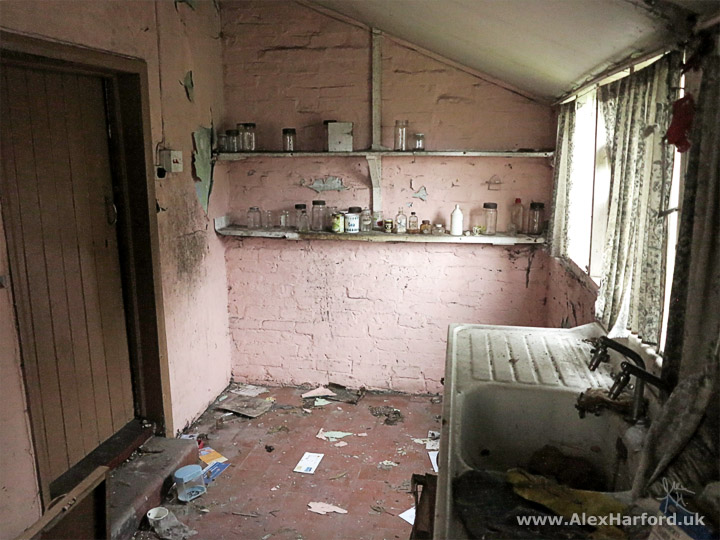 Daniel 🌵 tweet media