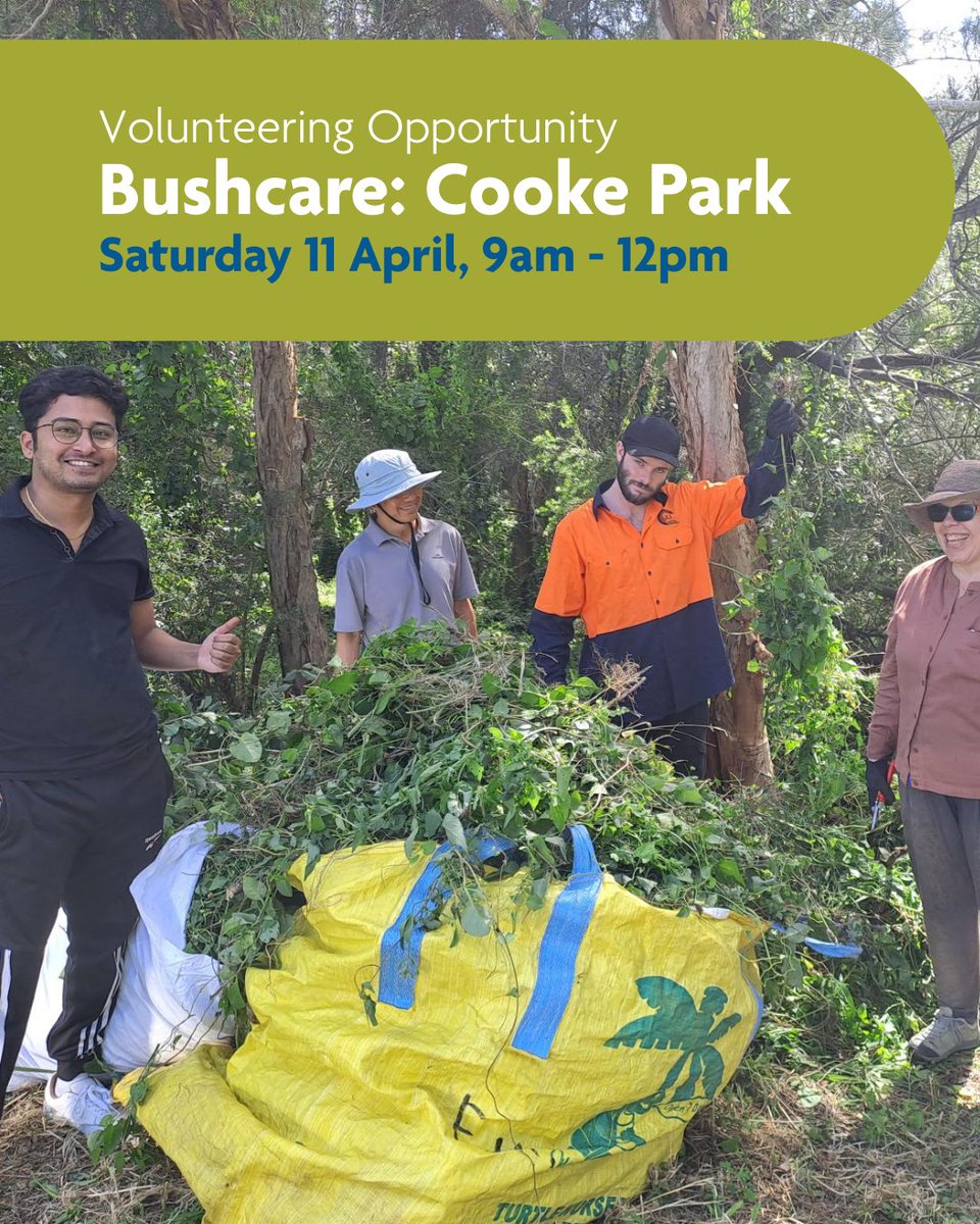 StrathfieldMC tweet media