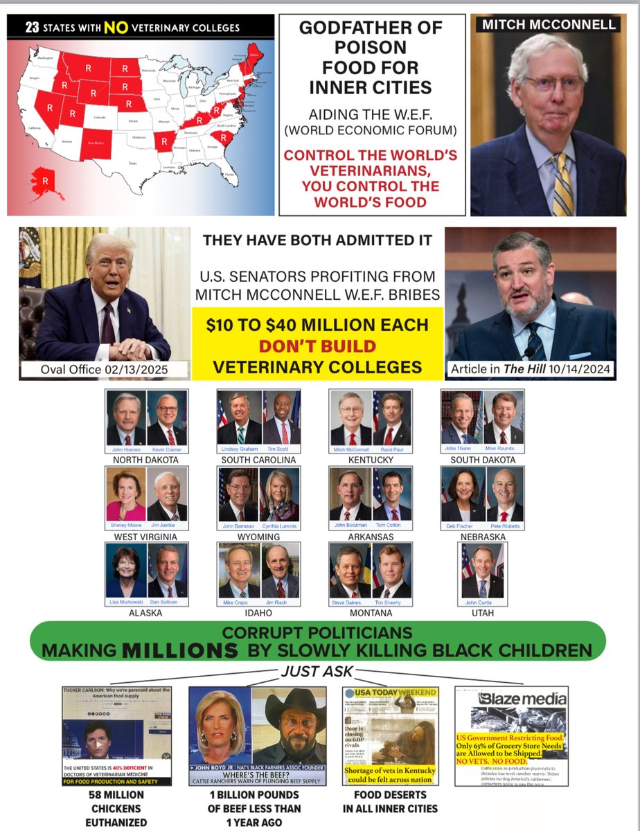 Piper For Congress tweet media