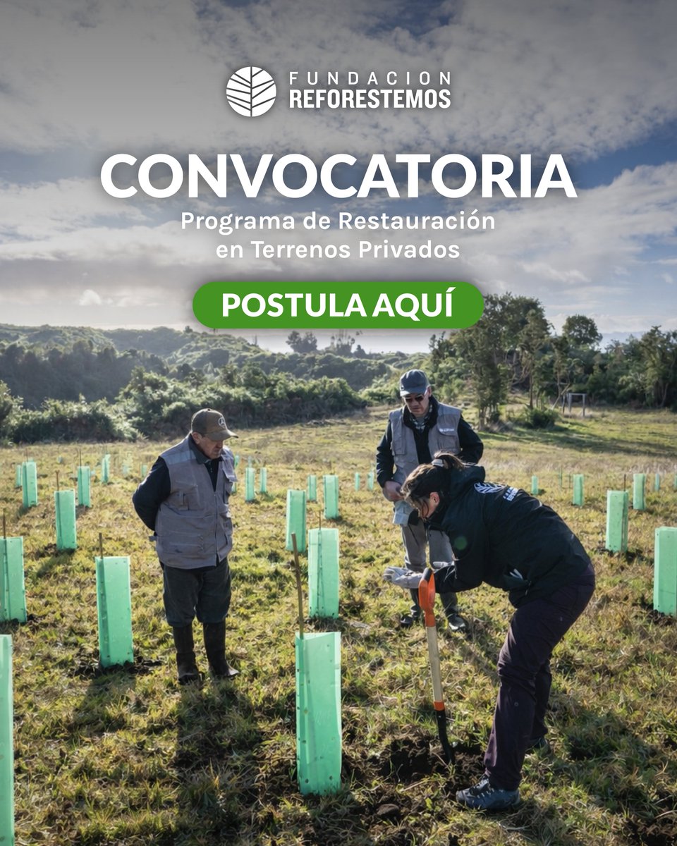 Fundación Reforestemos tweet media