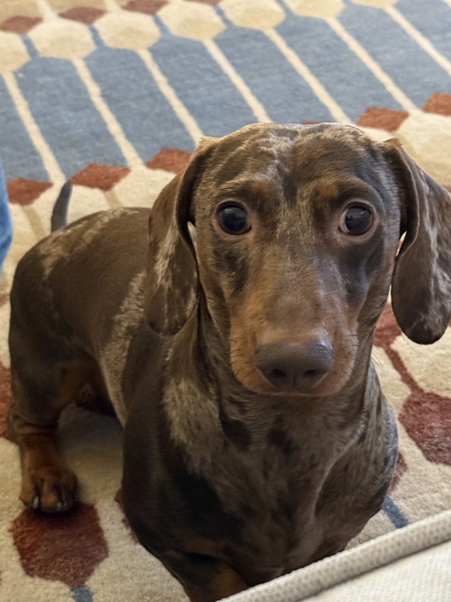 マシュー tweet media