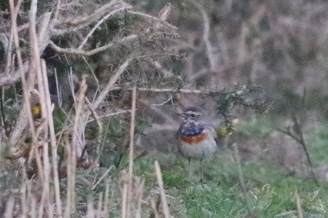 Peter Moore tweet media