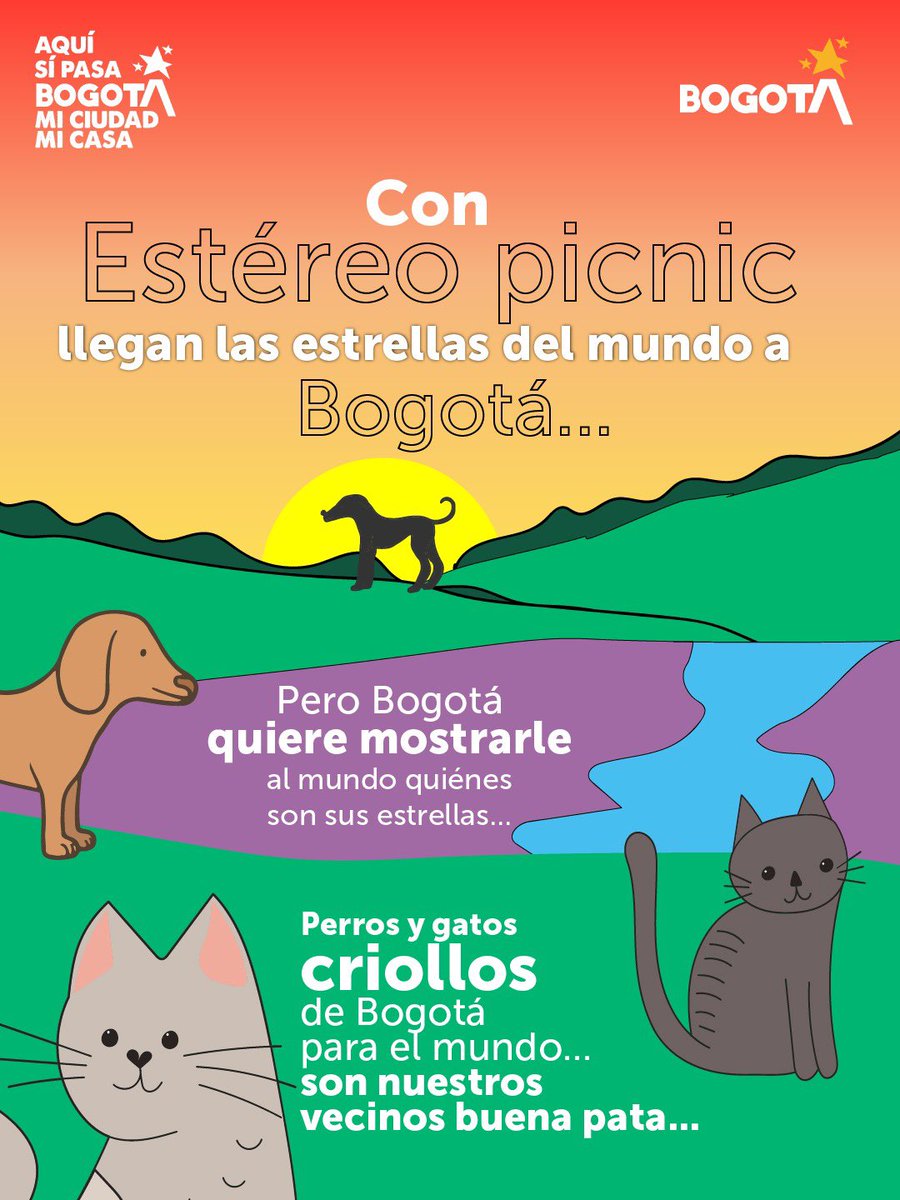 Protección Animal Bogotá tweet media