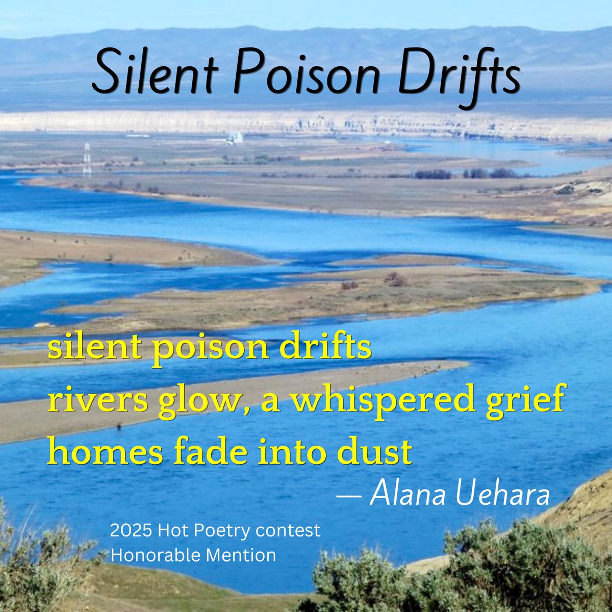 Hanford Challenge tweet media