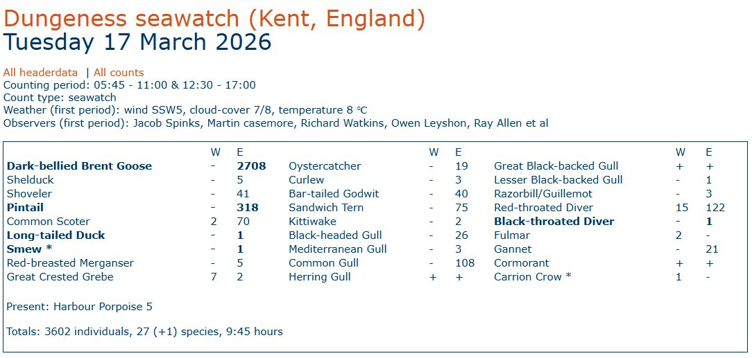 Dungeness Bird Observatory tweet media