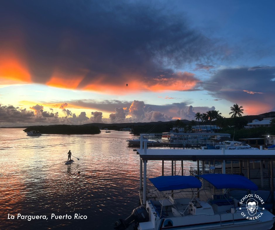 SchoolToursofAmerica tweet media