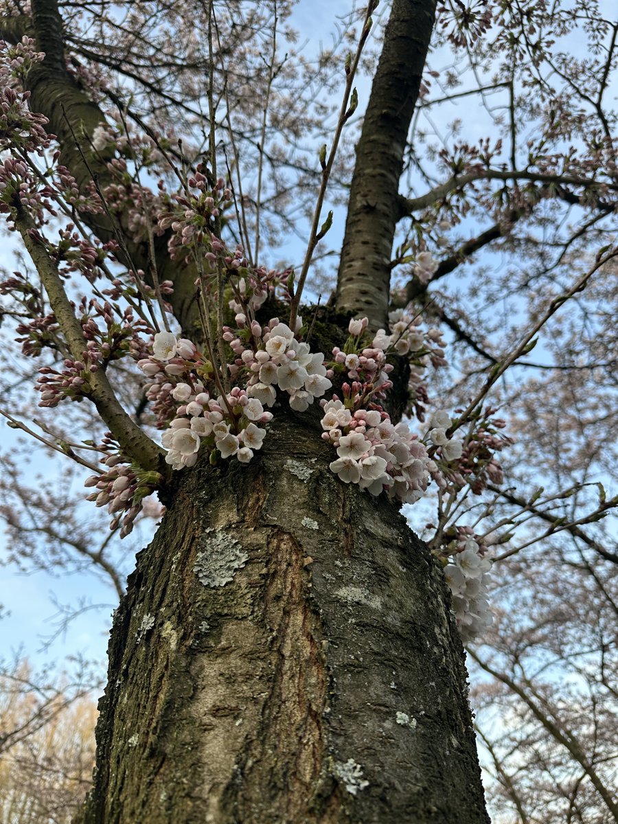 Marie 🇺🇦 tweet media