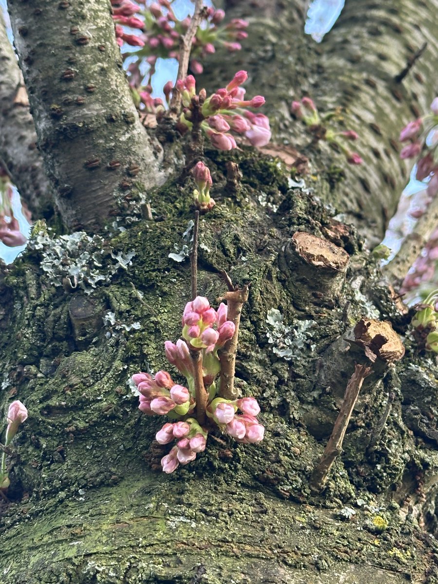 Marie 🇺🇦 tweet media