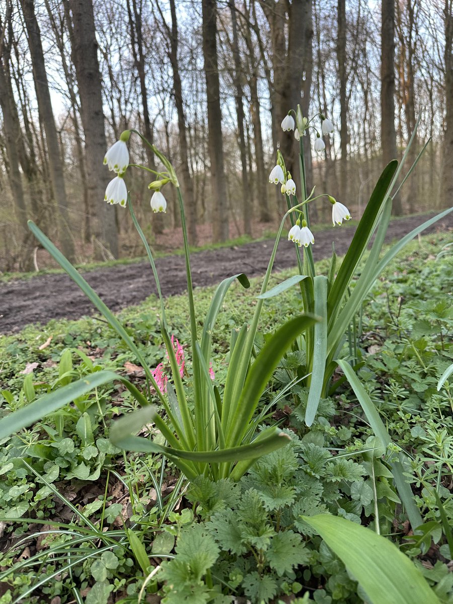 Marie 🇺🇦 tweet media