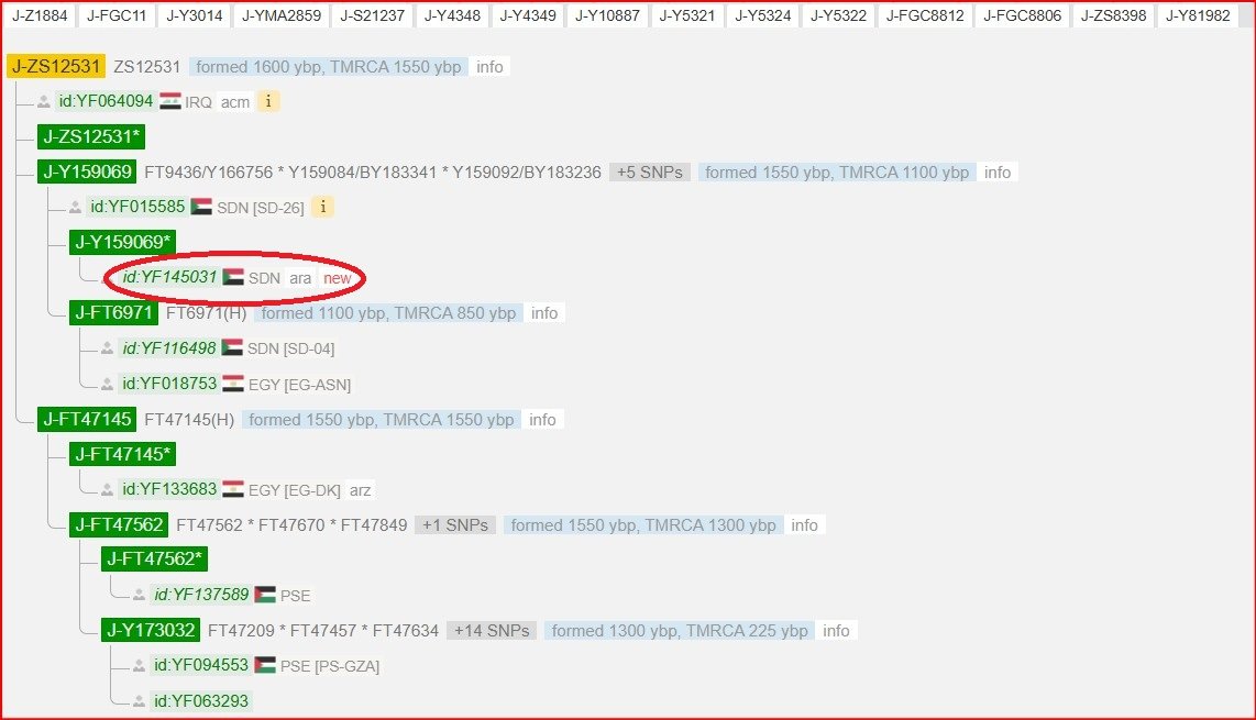 ΕLFΛΤiΗ SΛLiΜ الفاتح سالم tweet media